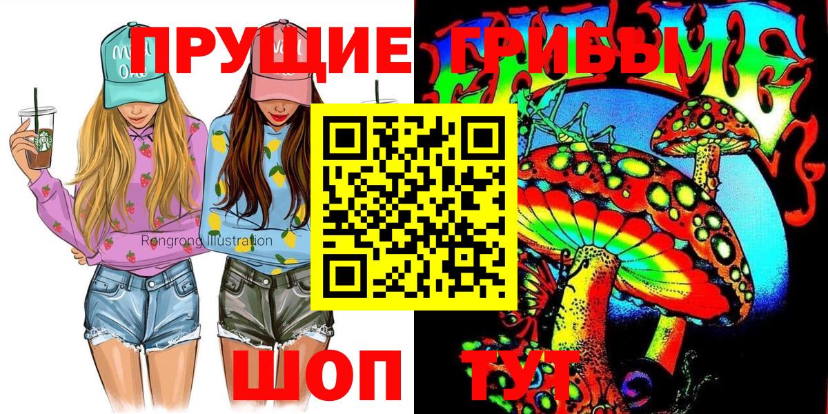 Псилоцибиновые грибы Psilocybine cubensis Мурино